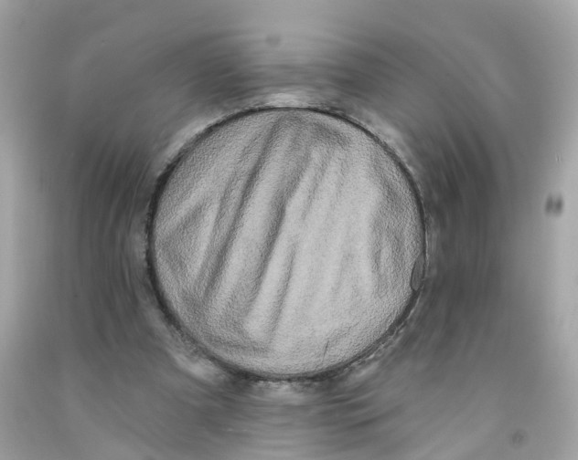 X0000091090297200709041308