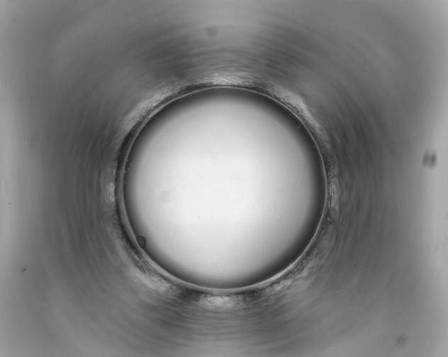 X0000091090299200709041308