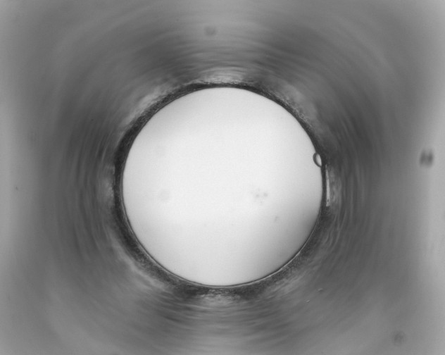 X0000091090300200709041308