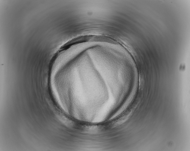 X0000091090301200709041308
