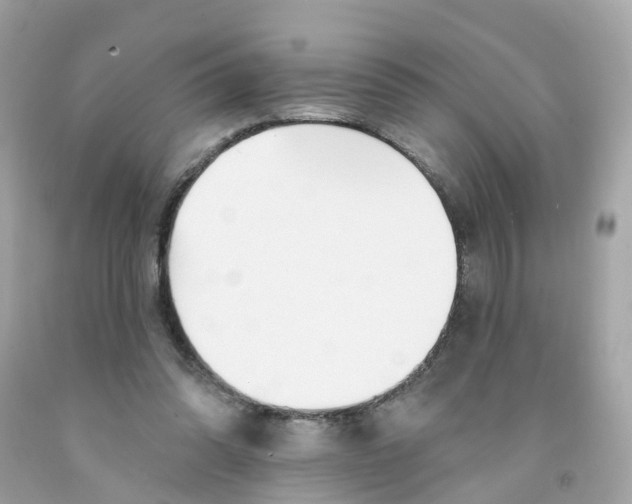 X0000091090302200709041308