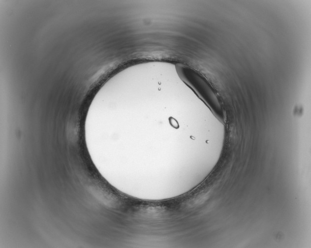 X0000091090304200709041308