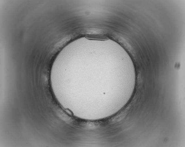 X0000091090305200709041308