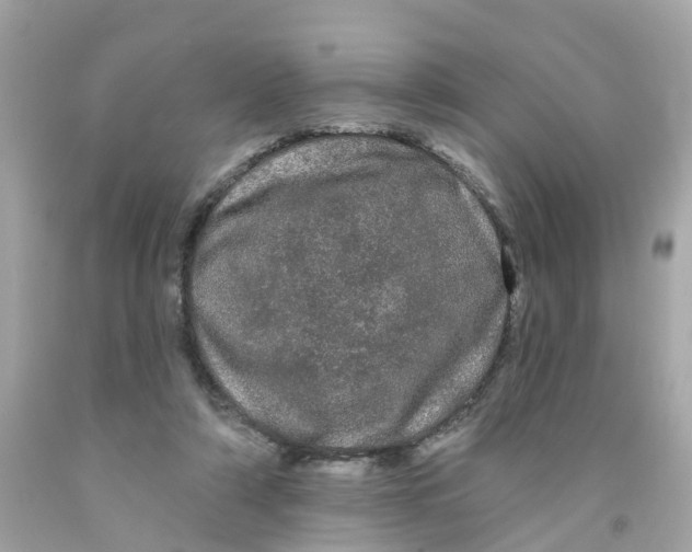 X0000091090306200709041308