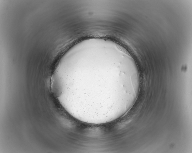 X0000091090307200709041308