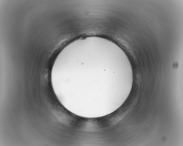 X0000091090308200709041308