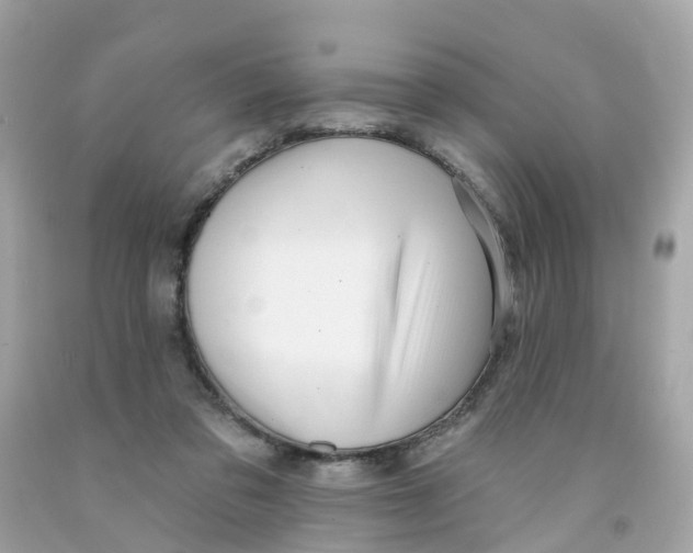 X0000091090309200709041308