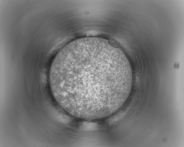 X0000091090311200709041308