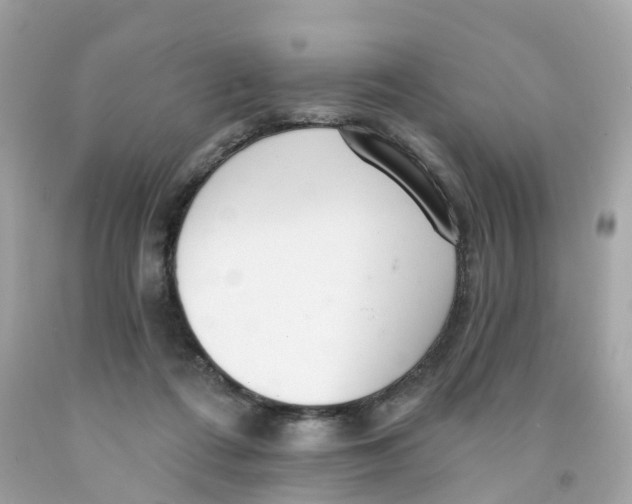 X0000091090312200709041308