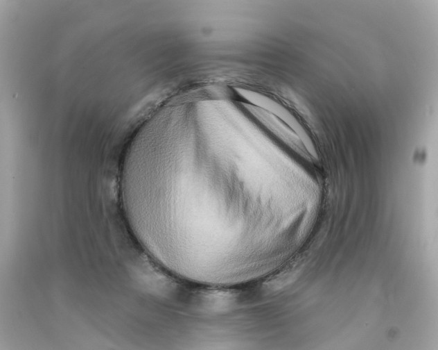X0000091090313200709041308