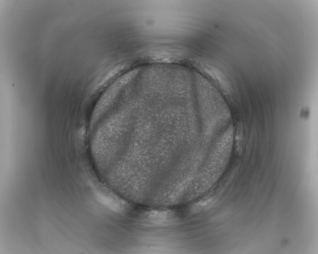 X0000091090314200709041308