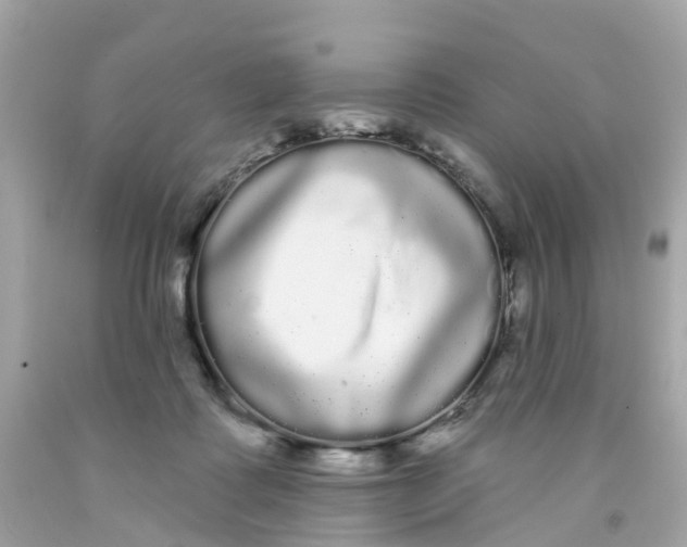 X0000091090315200709041308