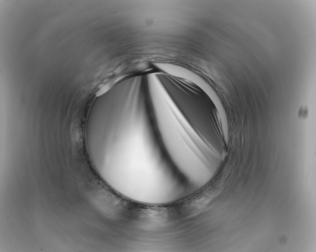 X0000091090317200709041308