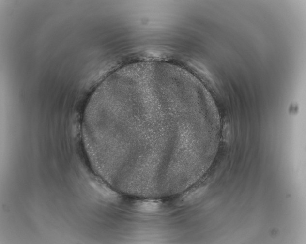 X0000091090318200709041308