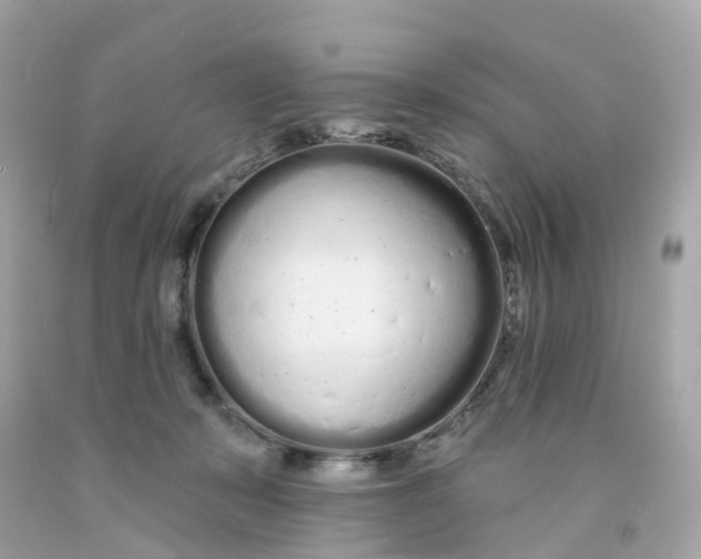 X0000091090319200709041308