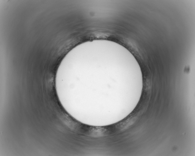 X0000091090321200709041308