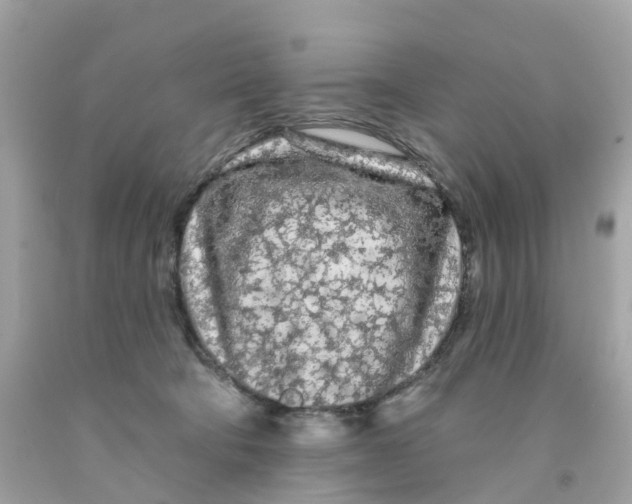 X0000091090322200709041308