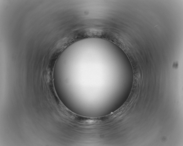 X0000091090323200709041308