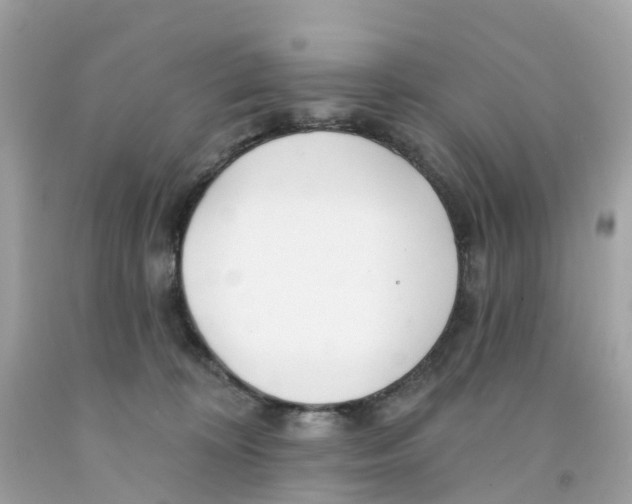 X0000091090324200709041308