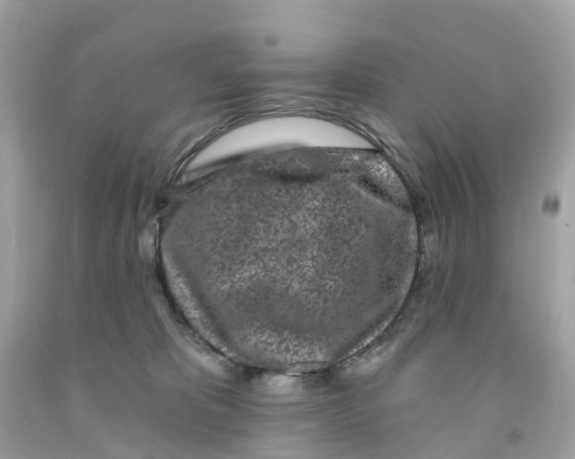X0000091090325200709041308