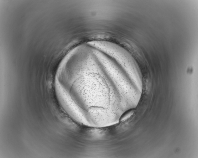 X0000091090326200709041308
