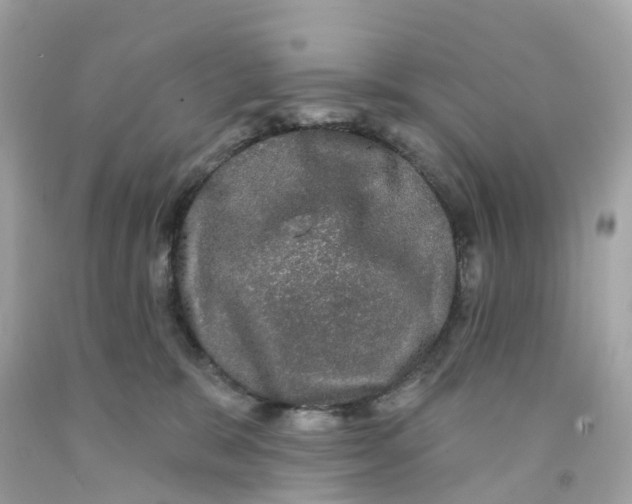 X0000091090327200709041308