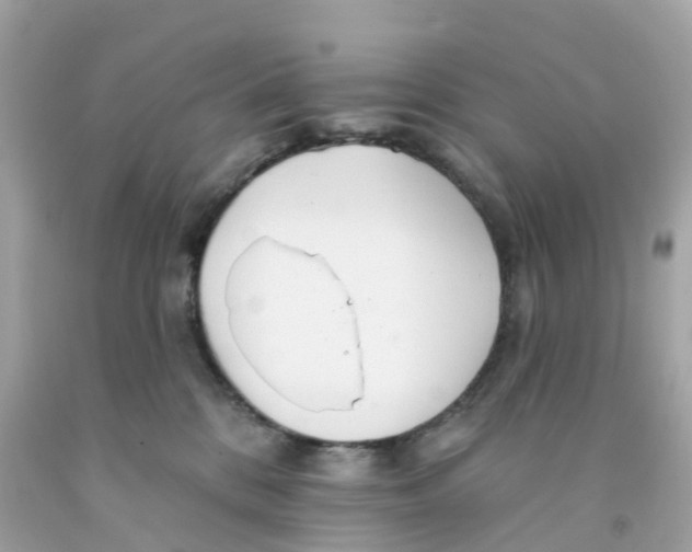 X0000091090328200709041308