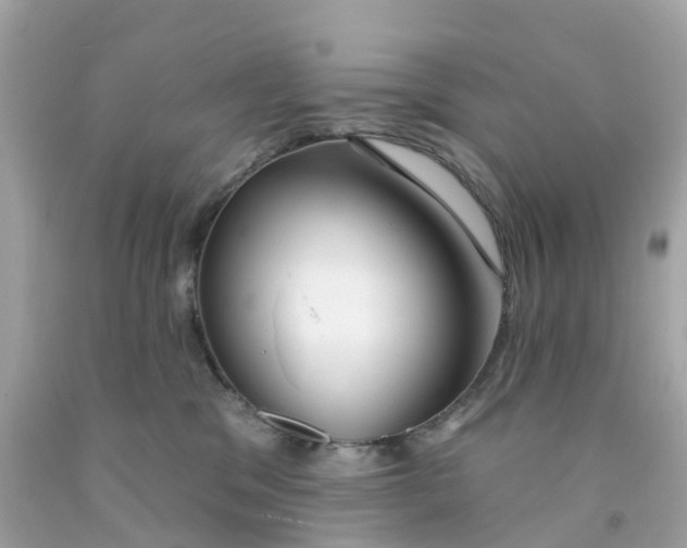 X0000091090329200709041308
