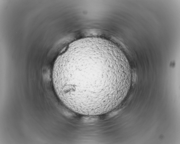 X0000091090331200709041308