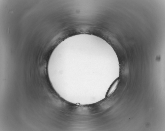 X0000091090332200709041308