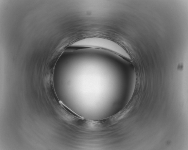 X0000091090333200709041308