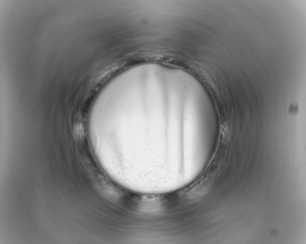 X0000091090335200709041308