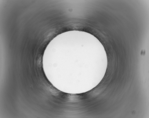 X0000091090336200709041308