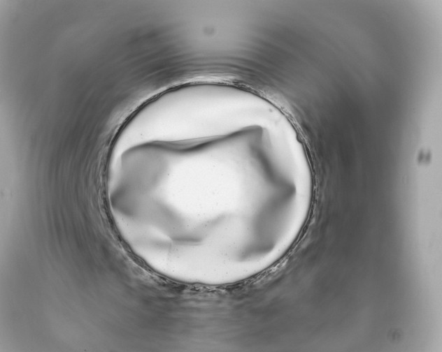 X0000091090337200709041307