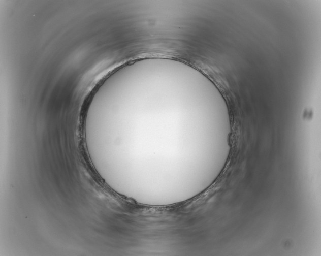 X0000091090338200709041307
