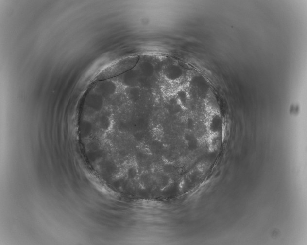 X0000091090339200709041307