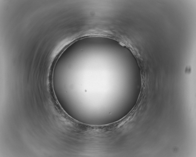 X0000091090340200709041307
