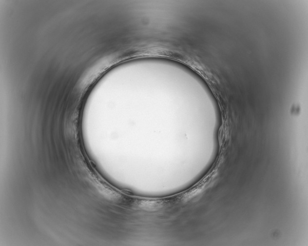 X0000091090341200709041307