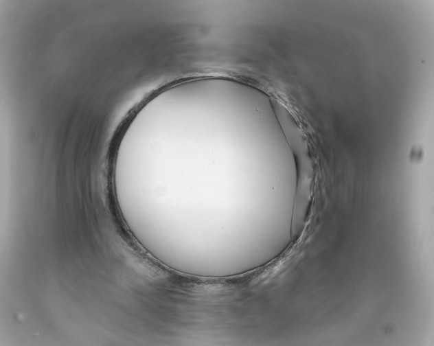 X0000091090342200709041307