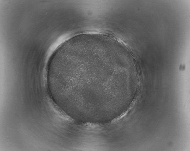 X0000091090343200709041307