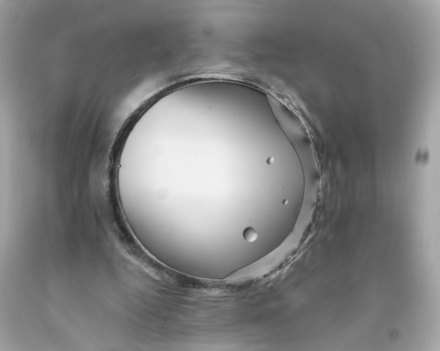X0000091090344200709041307