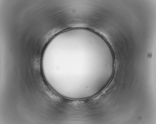 X0000091090345200709041307