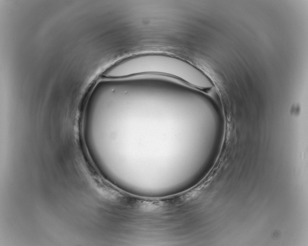 X0000091090346200709041307