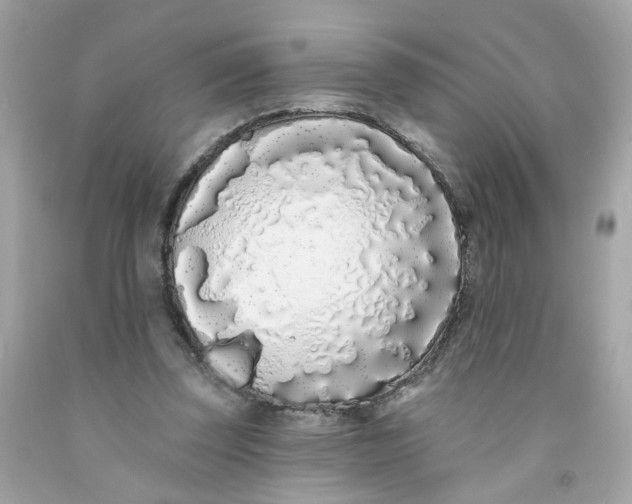 X0000091090347200709041307