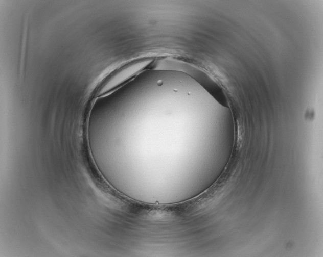 X0000091090348200709041307
