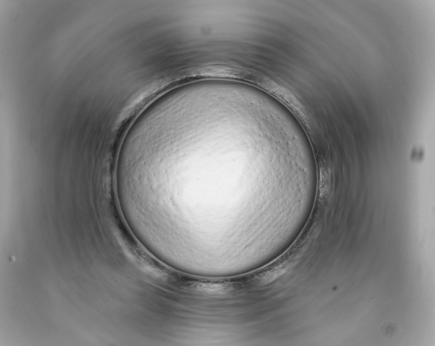 X0000091090349200709041307