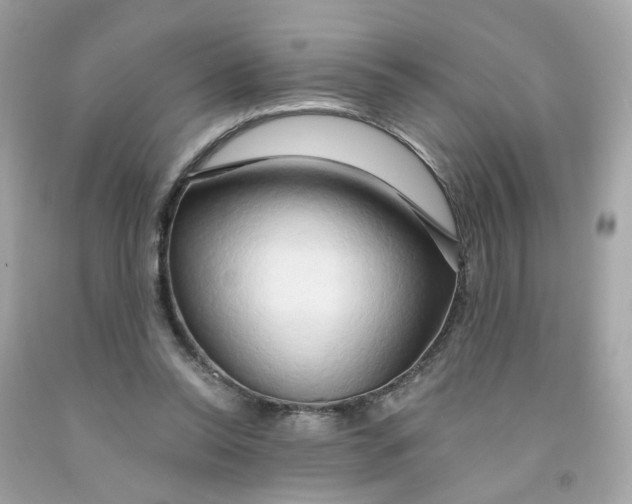 X0000091090350200709041307