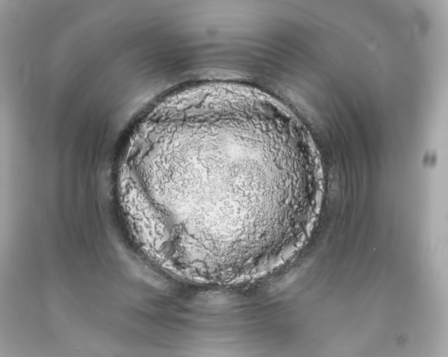 X0000091090351200709041307