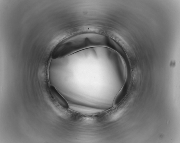 X0000091090352200709041307