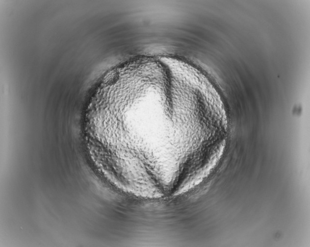 X0000091090353200709041307